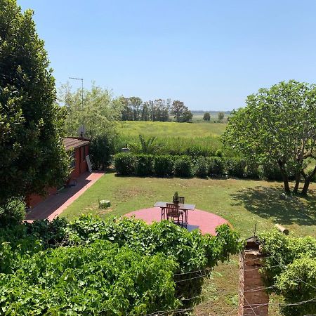 Casale Degli Ulivi Maccarese Villa Le Cerquete Екстериор снимка