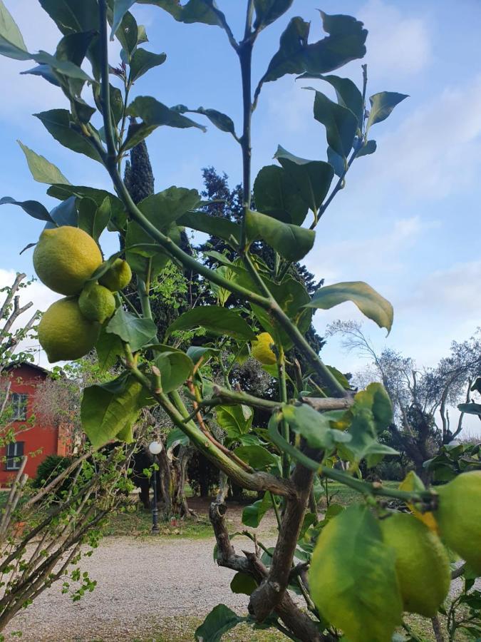 Casale Degli Ulivi Maccarese Villa Le Cerquete Екстериор снимка