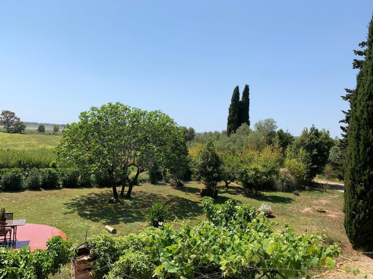 Casale Degli Ulivi Maccarese Villa Le Cerquete Екстериор снимка