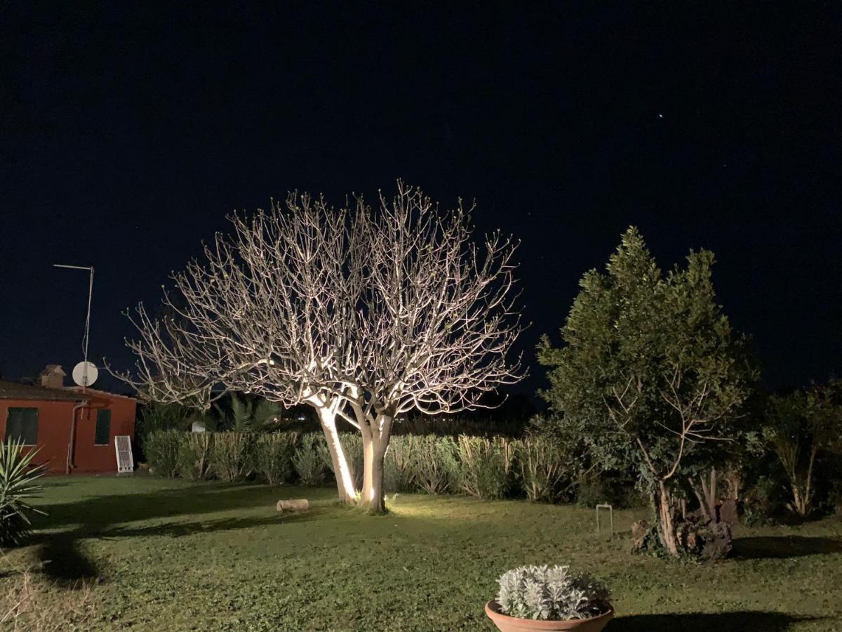 Casale Degli Ulivi Maccarese Villa Le Cerquete Екстериор снимка