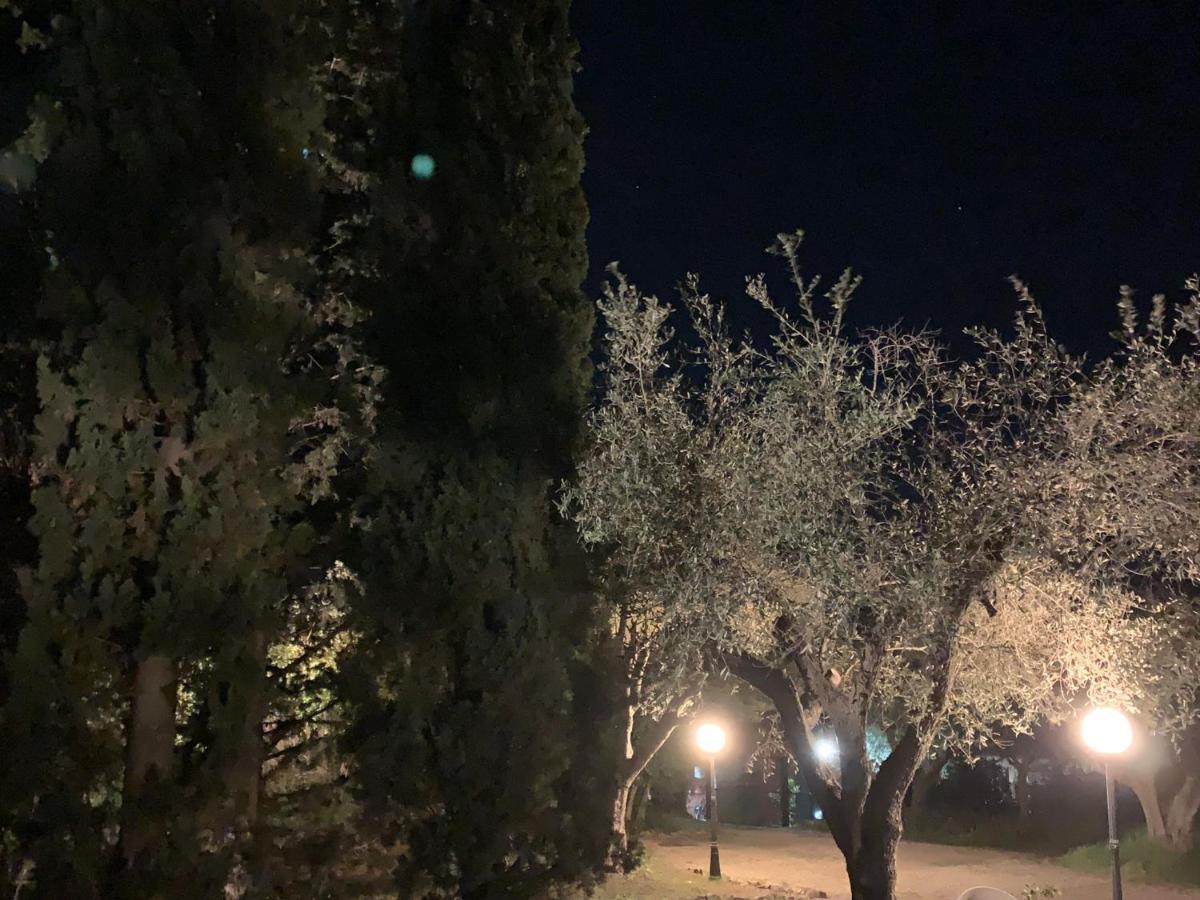 Casale Degli Ulivi Maccarese Villa Le Cerquete Екстериор снимка