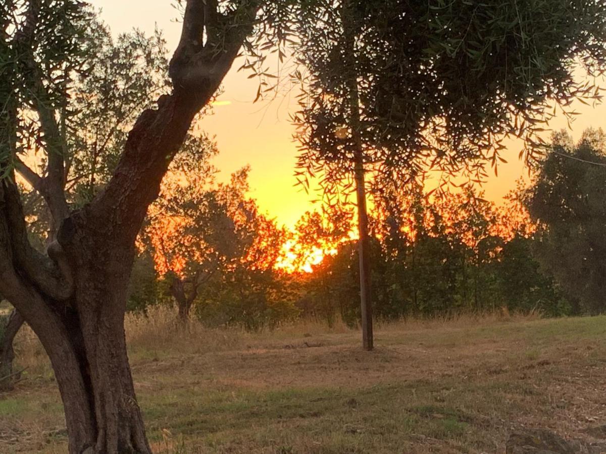 Casale Degli Ulivi Maccarese Villa Le Cerquete Екстериор снимка