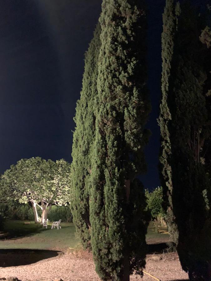 Casale Degli Ulivi Maccarese Villa Le Cerquete Екстериор снимка