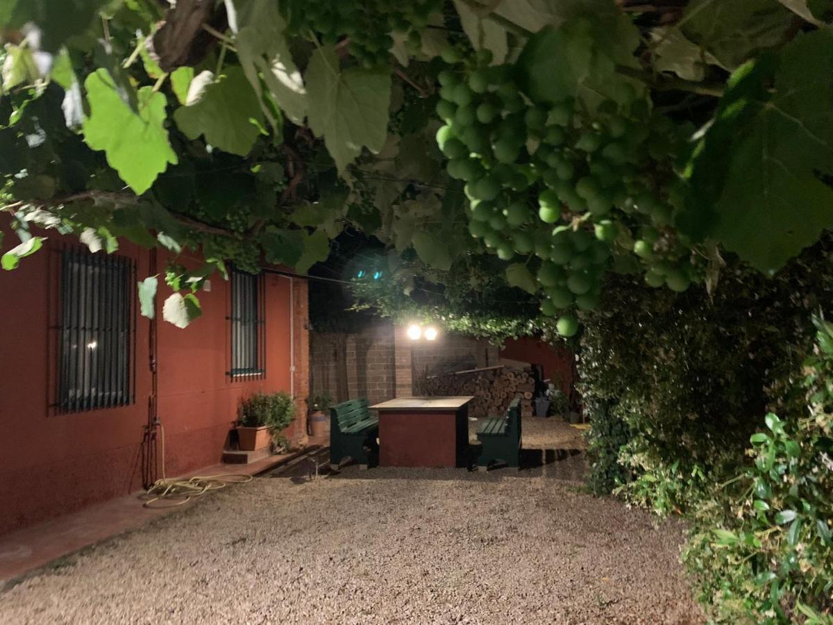 Casale Degli Ulivi Maccarese Villa Le Cerquete Екстериор снимка