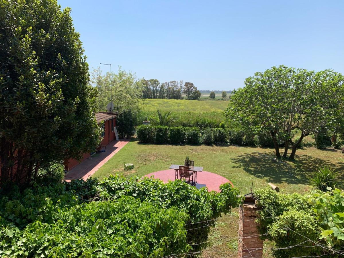 Casale Degli Ulivi Maccarese Villa Le Cerquete Екстериор снимка